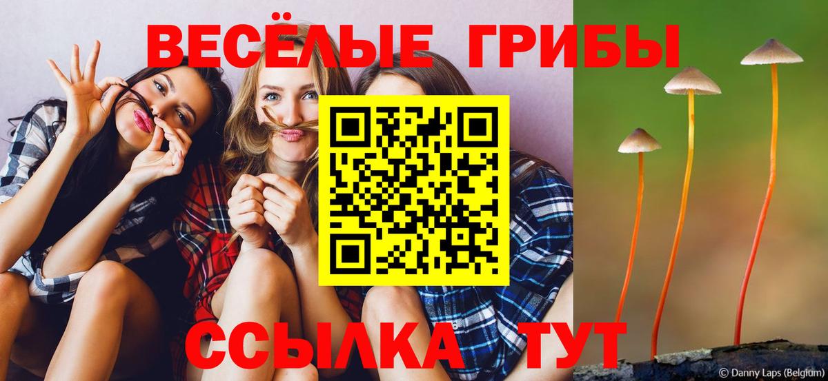 Псилоцибиновые грибы Psilocybine cubensis  Галлюциногенные грибы Cubensis  Камышин  Вход с VPN 